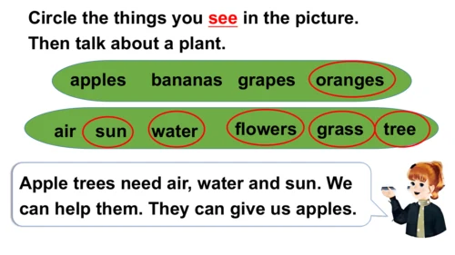 Unit 4   Plants around us课件（68张PPT)