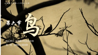 人教版生物八年级上册5.1.6《鸟》课件(共27张PPT)