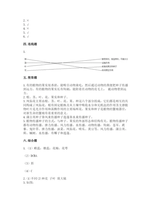 科学四年级下册第一单元植物的生长变化测试卷附完整答案（夺冠系列）.docx