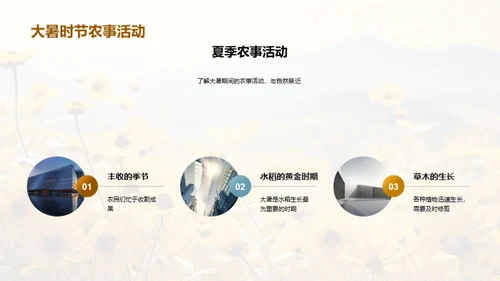 大暑团建盛典