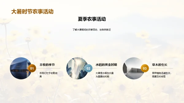 大暑团建盛典
