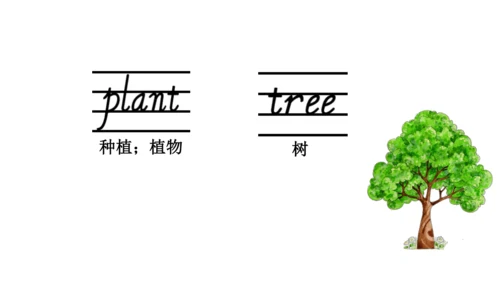 Unit 4   Plants around us课件（68张PPT)