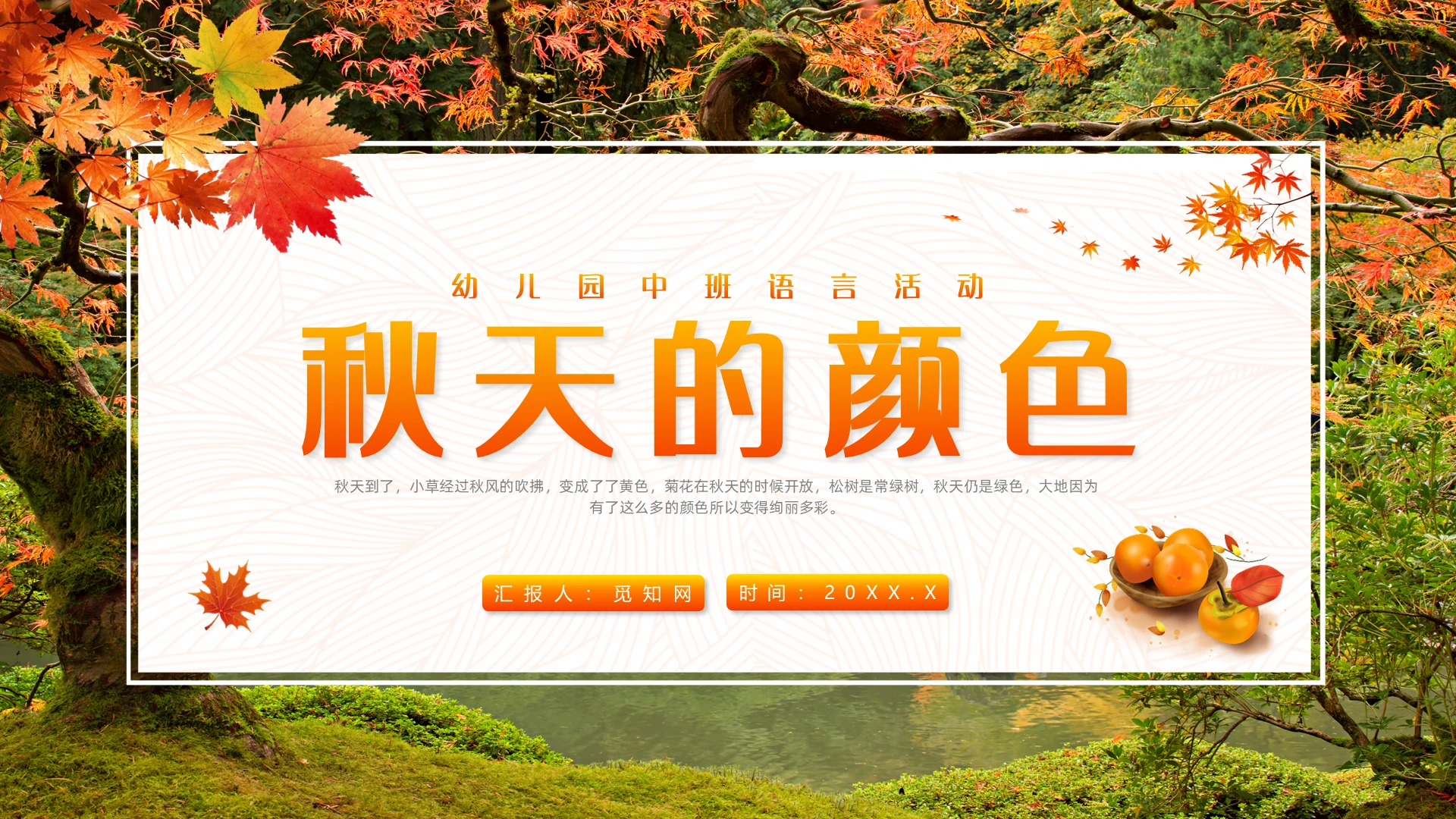 黄色实拍风秋天的颜色课件