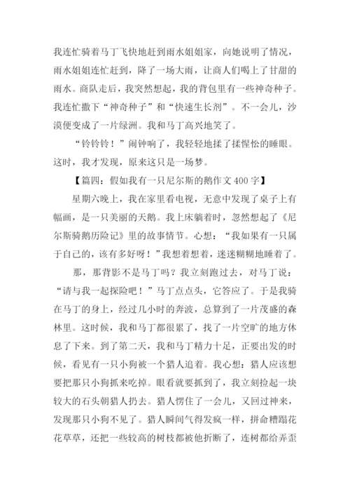 假如我有一只尼尔斯的鹅作文400字-1.docx