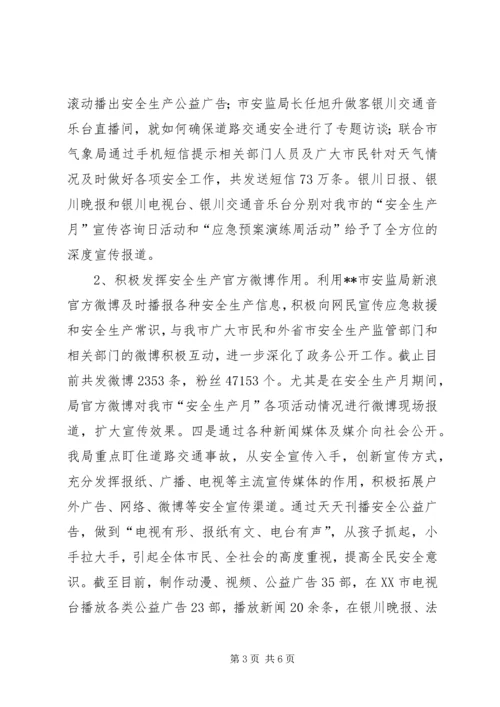 安监局年度党务政务公开工作自查报告.docx