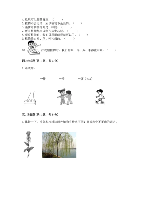 教科版一年级上册科学期末测试卷【名师推荐】.docx