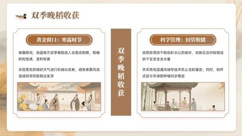 棕色系中国风寒露节气知识PPT模板
