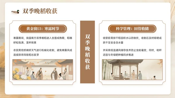 棕色系中国风寒露节气知识PPT模板