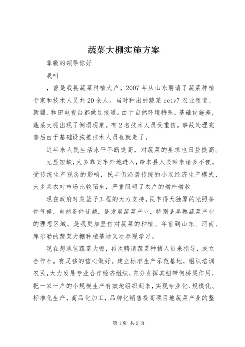 蔬菜大棚实施方案 (3).docx