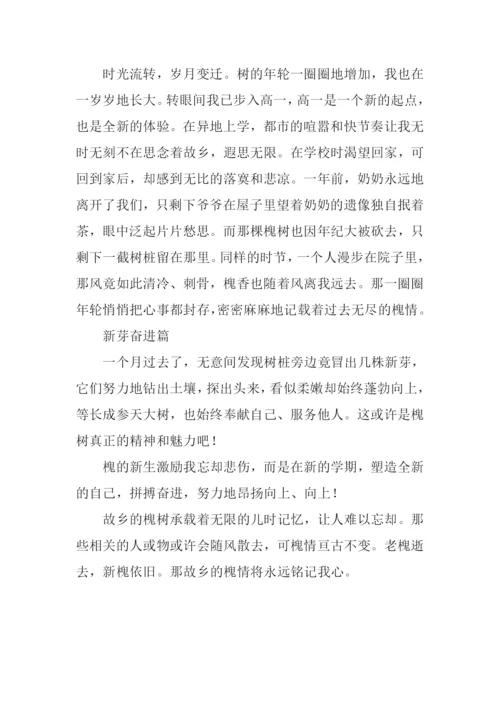 故乡槐情作文800字.docx