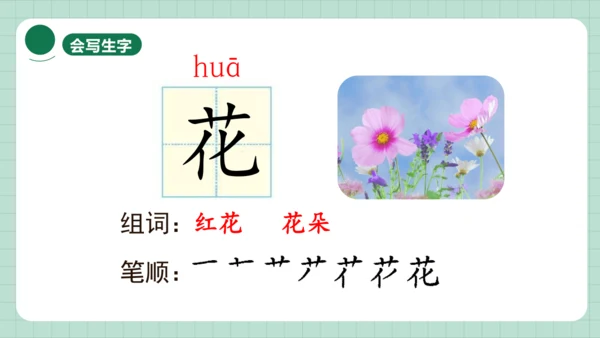 识字1 春夏秋冬   课件