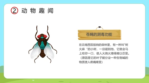 小讲堂趣味科普通用PPT模板