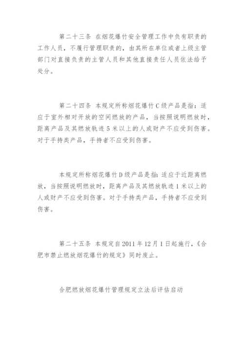 合肥市燃放烟花爆竹管理规定最新.docx