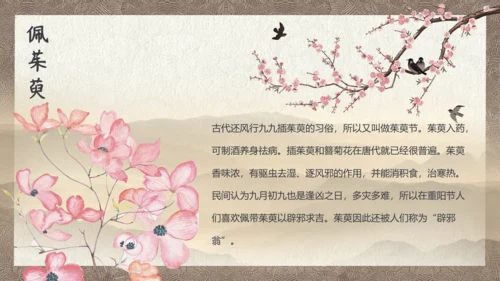 中国风九九重阳节传统文化教学PPT课件