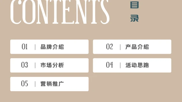 中年女性服装品牌营销策划通用PPT