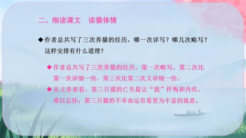 17《猫》课件