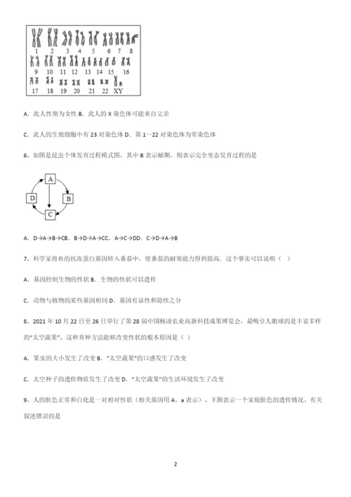 通用版初中生物八年级下册第七单元生物圈中生命的延续和发展重点知识点大全.docx