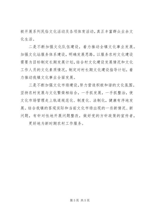 最新XX年综合文化站工作总结及XX年工作计划.docx