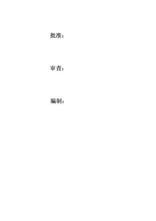 防洪工程监理规划.docx