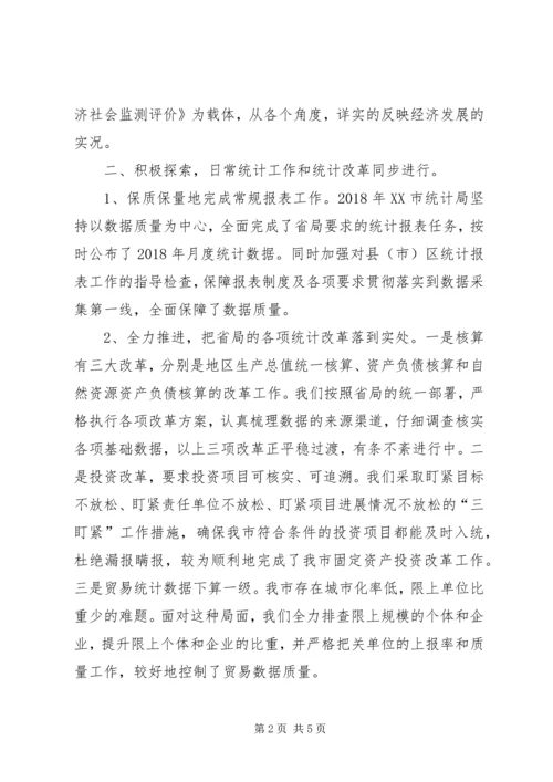 统计局XX年工作总结及XX年工作安排.docx