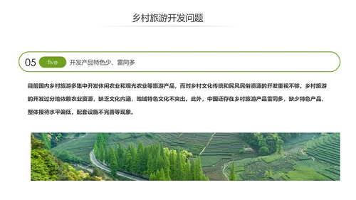 乡村旅游规划新农村建设详细解读PPT模板