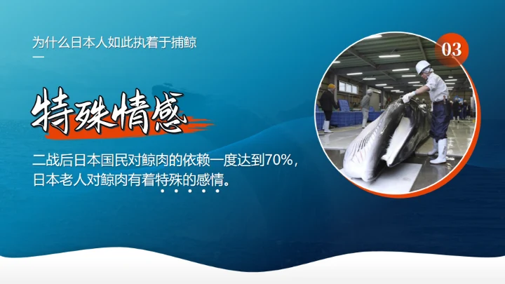 鲸落万物生鲸鱼知识讲座通用PPT模板