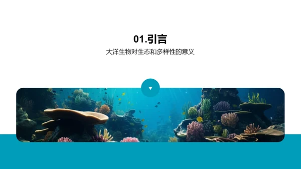 深海奥秘解析