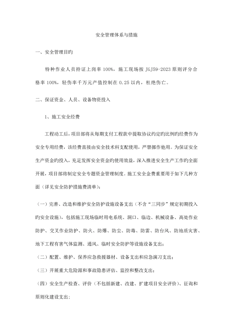 安全管理体系与措施.docx