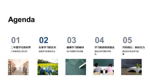 二年级的学习探索