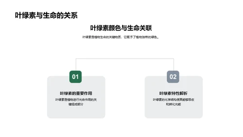 揭秘绿色动力