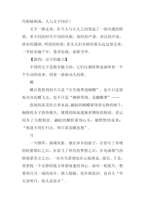 汉字的魅力作文800字.docx