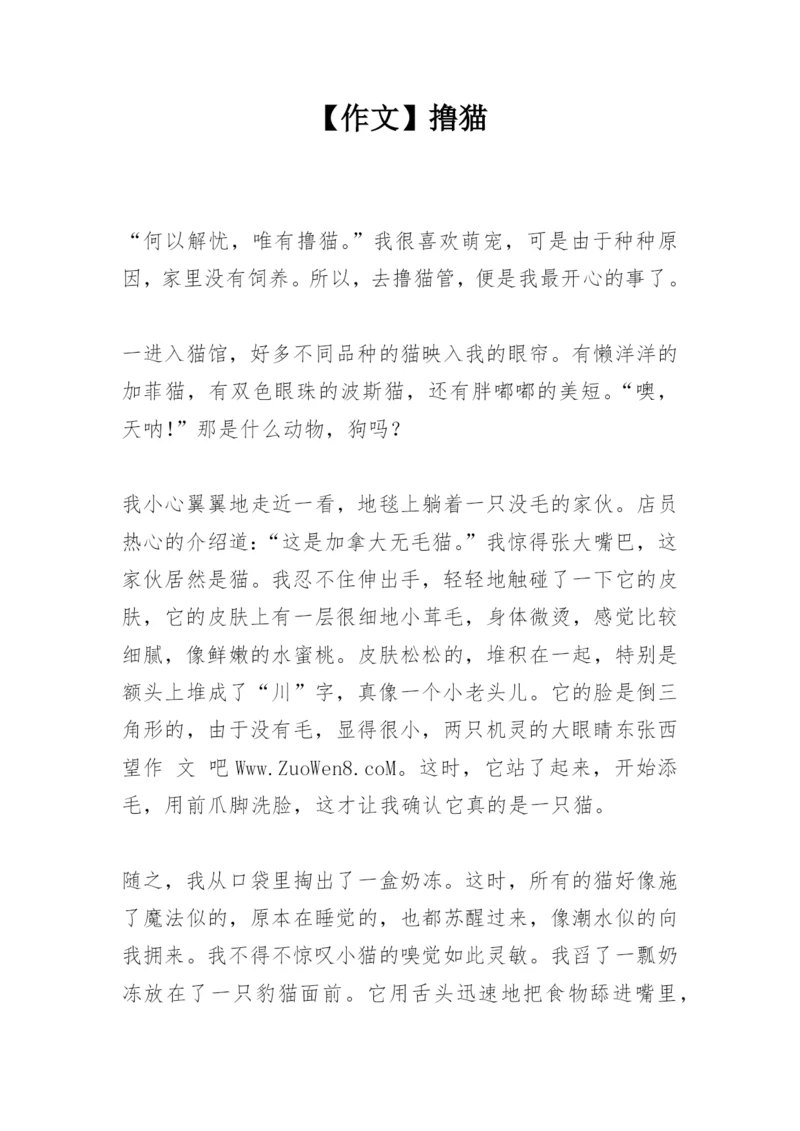 【作文】撸猫.docx