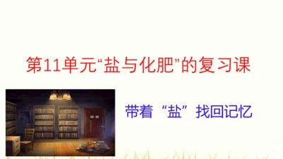 人教版九年级化学下册第十一单元 盐 化肥复习课件(共23张PPT)