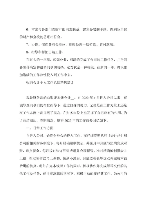 收纳会计个人工作总结8篇