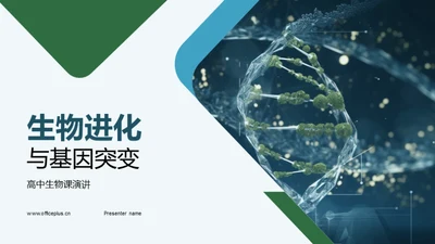 生物进化与基因突变