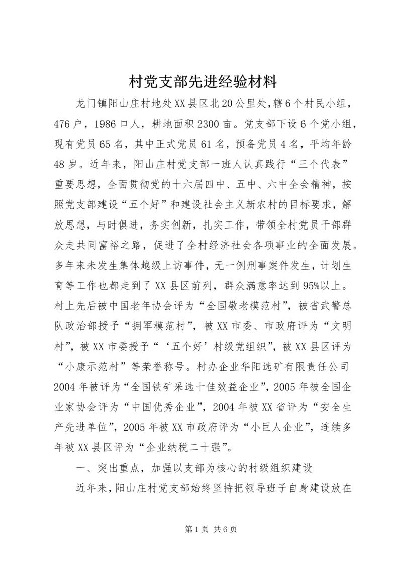 村党支部先进经验材料.docx