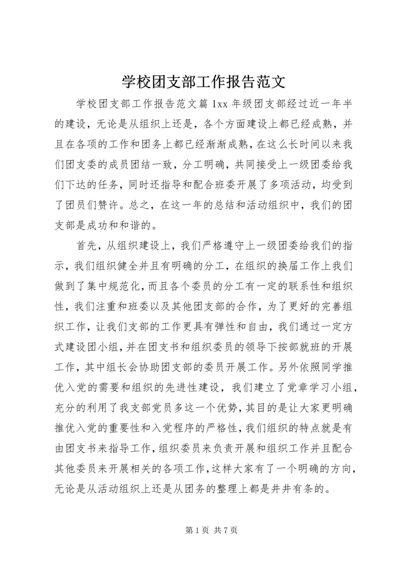 学校团支部工作报告范文.docx