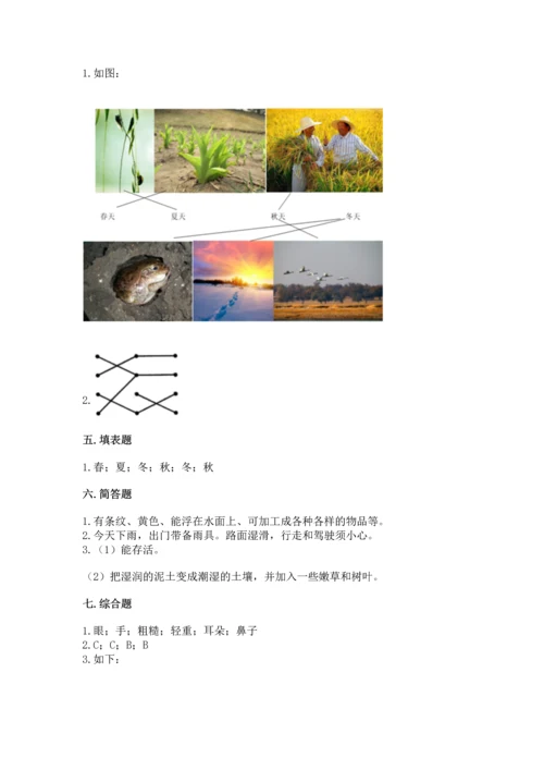 教科版二年级上册科学期末测试卷精品（必刷）.docx