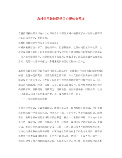 精编农村信用社挂职学习心得体会范文.docx