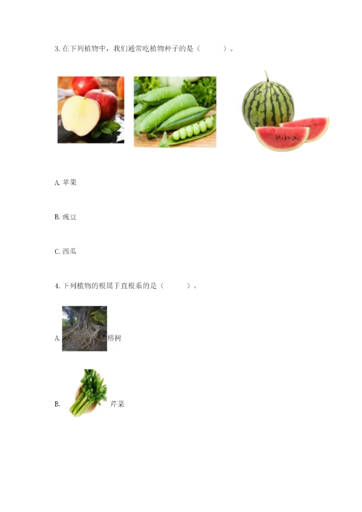 教科版科学四年级下册第一单元《植物的生长变化》测试卷及答案（新）.docx