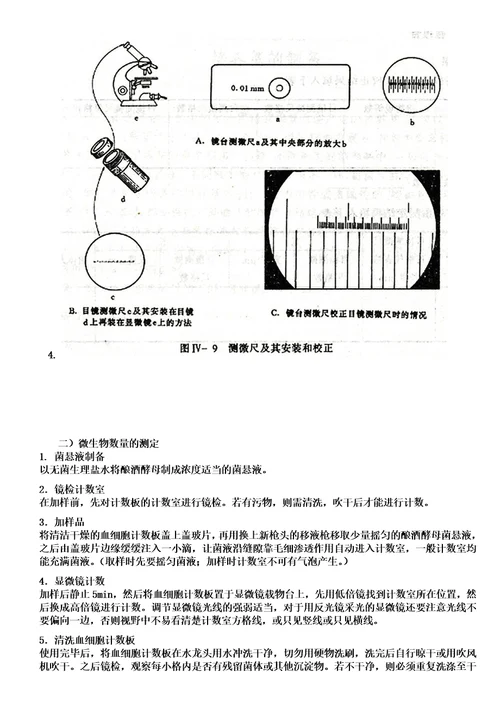 微生物大小与数量的测定实验报告