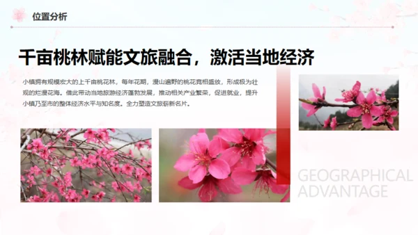 小镇桃花节策划方案通用PPT