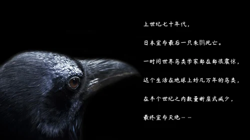 敬畏自然尊重生命保护动物大象通用PPT模板