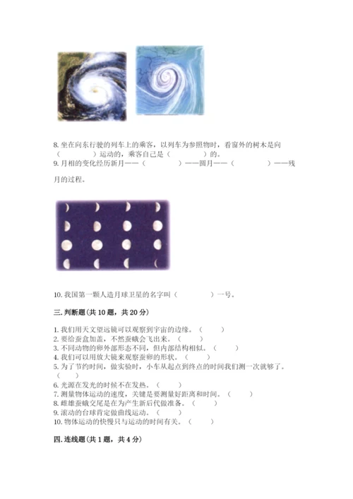 教科版小学科学三年级下册 期末测试卷【考点梳理】.docx
