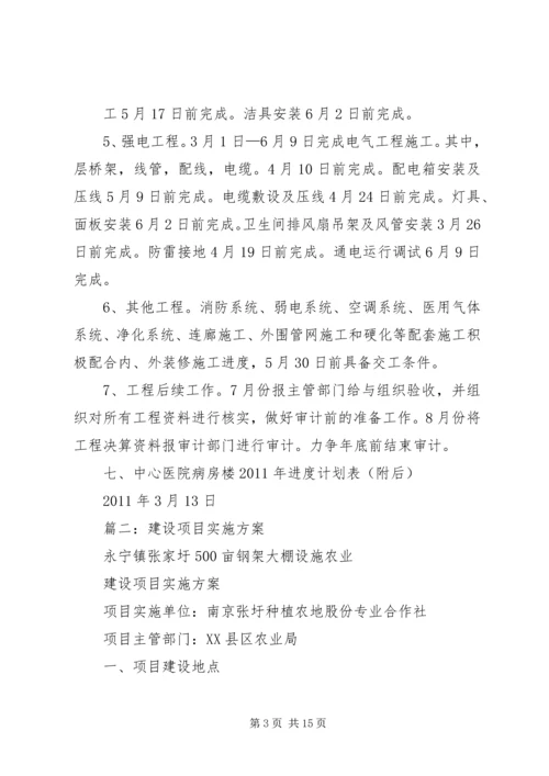 项目建设实施方案(提纲) (2).docx