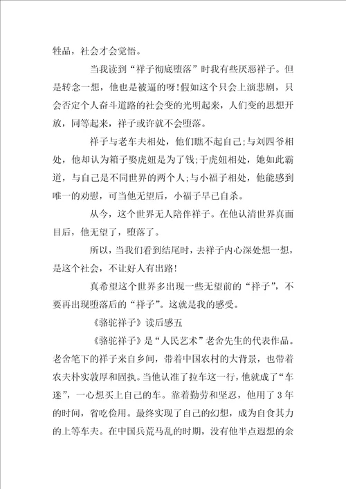 骆驼祥子读后感高中文章六篇