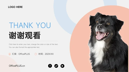 红蓝简洁双色宠物健康护理PPT模板
