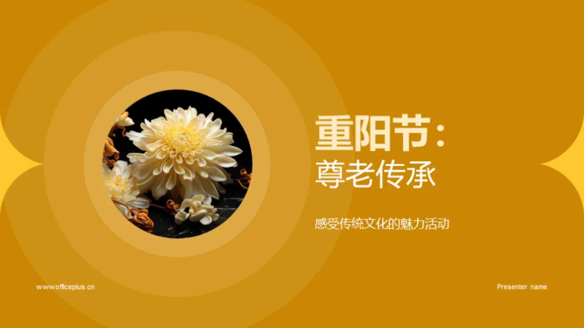 重阳节:尊老传承