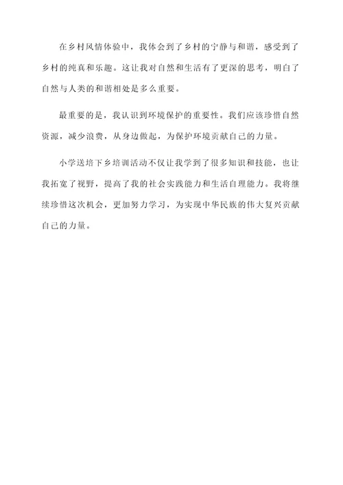 小学送培下乡培训心得