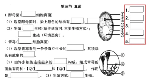 人教版生物八年级上册期末考试知识点汇总（课件）(共28张PPT)